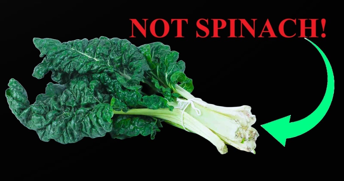 Swiss chard bunch with thick white stems commonly sold as spinach in Kenya