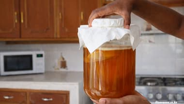 A person holding a glass jar of homemade kombucha with a SCOBY culture