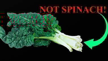 Swiss chard bunch with thick white stems commonly sold as spinach in Kenya