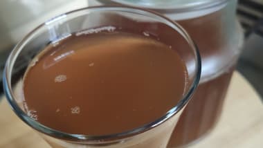 Kombucha (Fermented Tea)