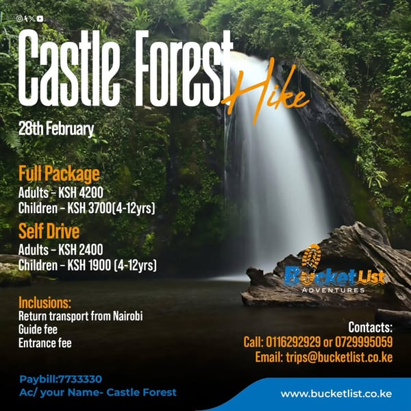 Castle Forest Hike poster