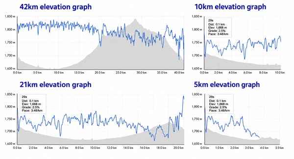 Standard Chartered Nairobi Marathon elevation profile