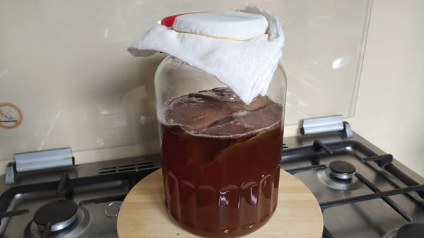 Kombucha brewing jar covered with a breathable cloth and rubber band, set on the kitchen stove