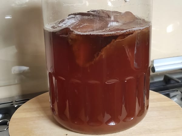 SCOBY culture floating on top of fermenting kombucha in a glass jar