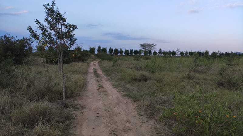 Sandy off-road cycling trail at Lukenya MotorCross near Athi River, Kenya