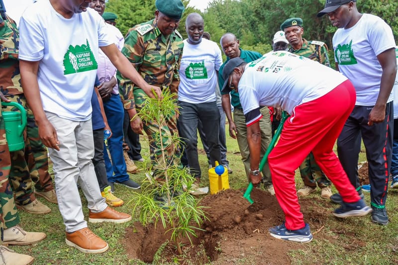 Tree planting activity as part of the Kaptagat Integrated Conservation Programme
