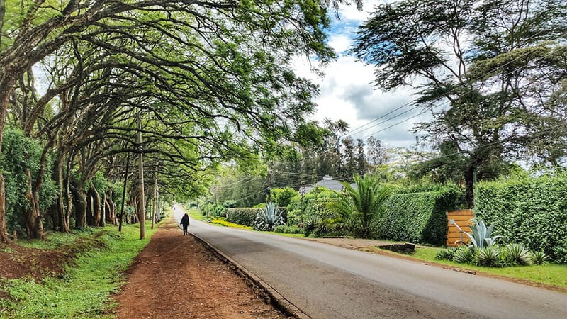 Scenic view of Karen Plains Road, part of the Vienna Loop running route in Nairobi