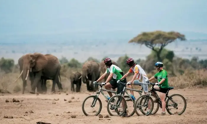 Chyulu Hills Wilderness Trail cycling route in Makueni/Kajiado Counties
