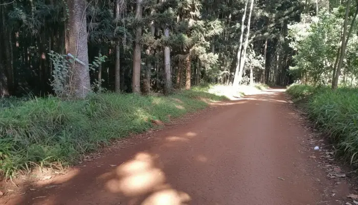 Karura Forest Trails cycling route in Nairobi