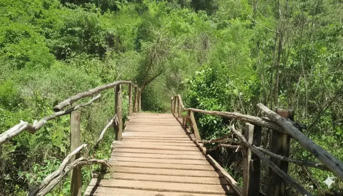 Oloolua Nature Trail Loop cycling route in Karen, Nairobi